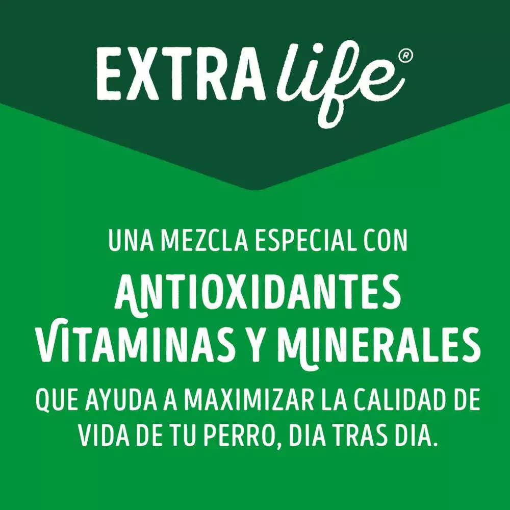 Alimento Humedo Perr Purina 100 Gr Cordero 12477300