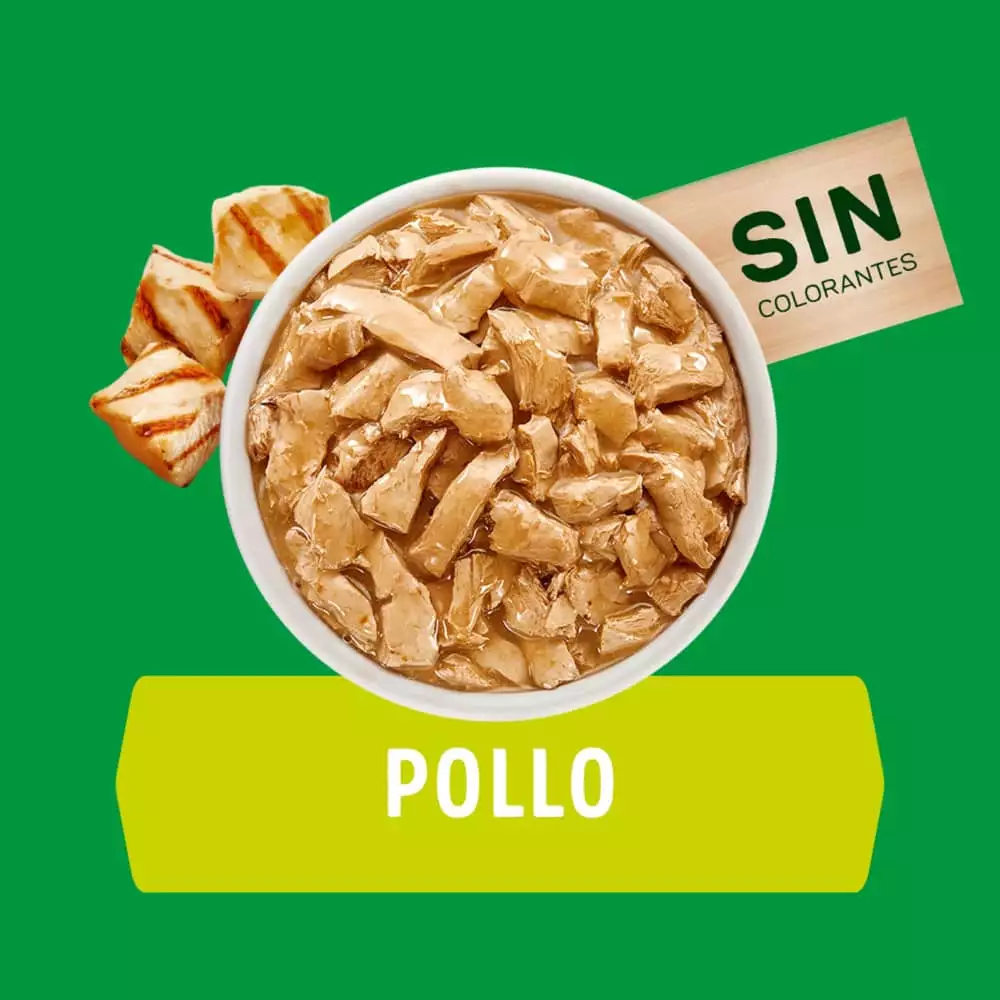 Alimento Humedo Perro Dog Chow 100 Gr Cachorro Pollo 12478991