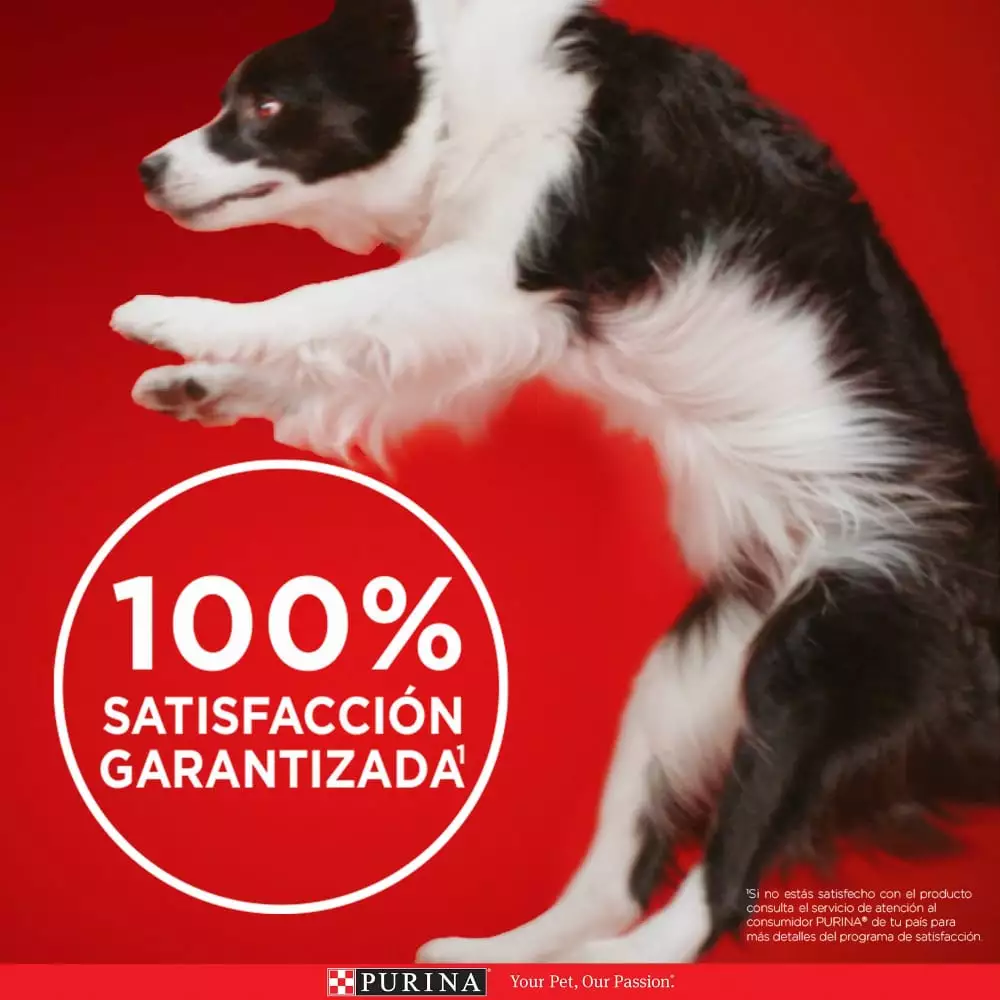 Alimento Humedo Perro Purina One 85 Gr Cachorros A