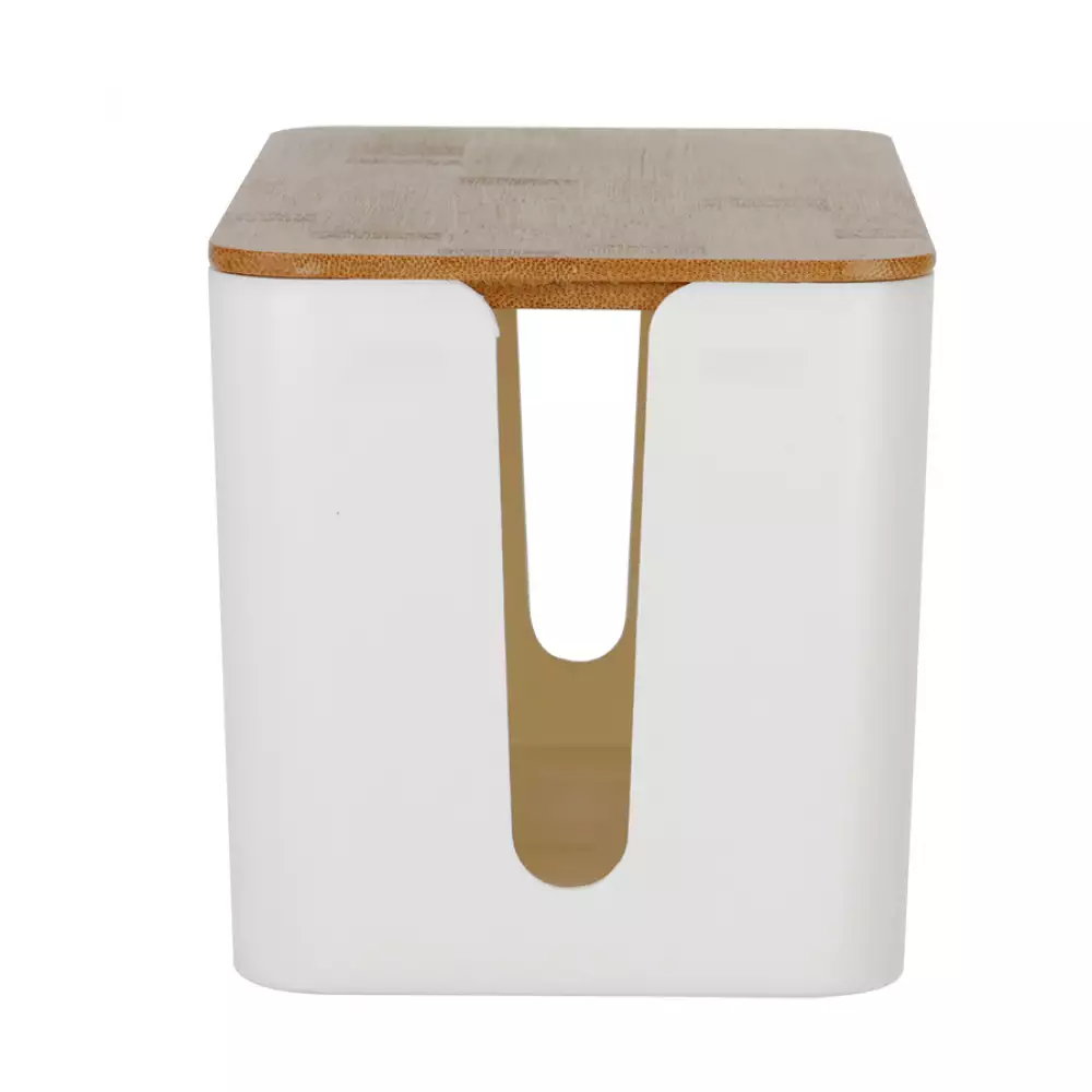 Caja Bamboo 23X11X12Cm Blanco 3 Lt Plastico Tg59551M