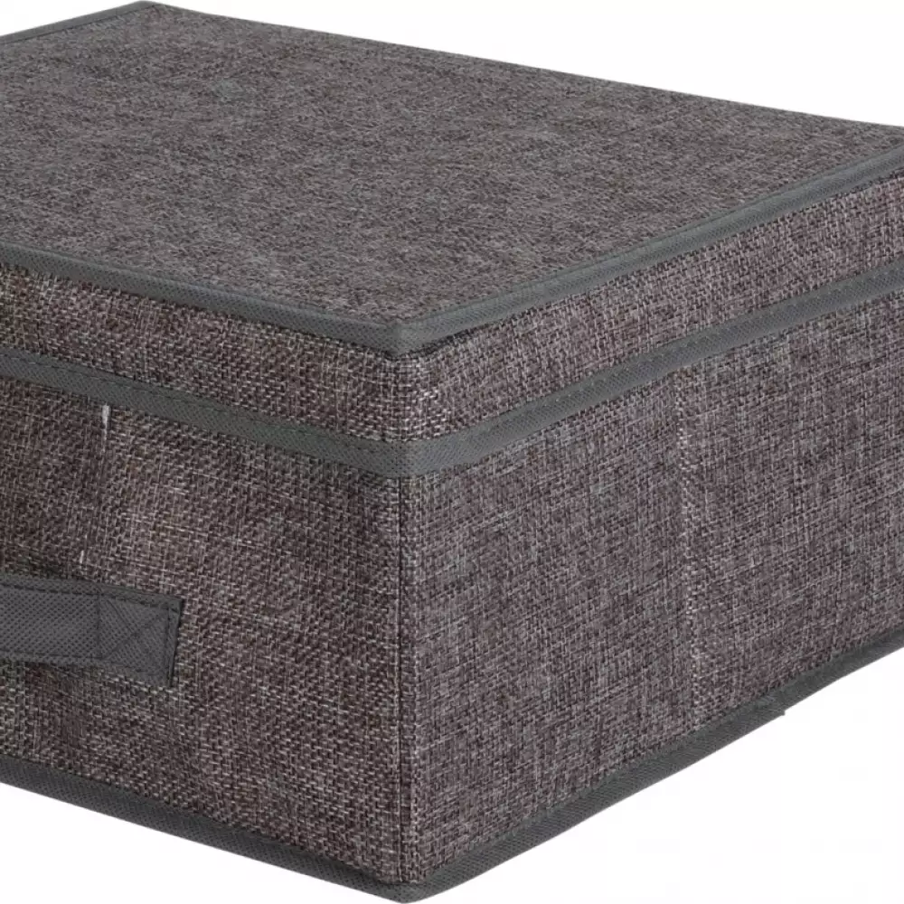 Caja Storage Solutions 101001730 31X3X31Cm Surtido