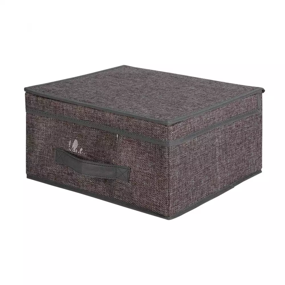 Caja Storage Solutions 101001730 31X3X31Cm Surtido