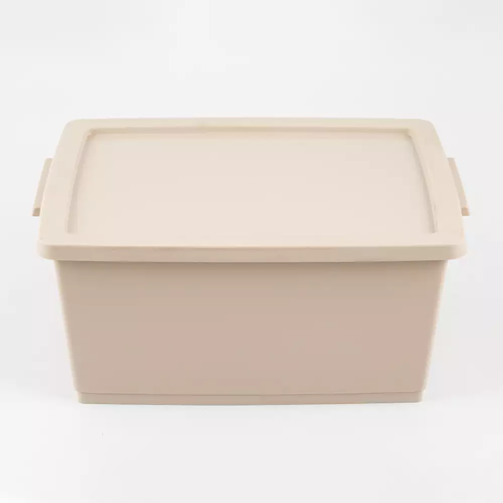 Canasta Ordene My Closet 15X24X33Cm Beige Plastico Or80410