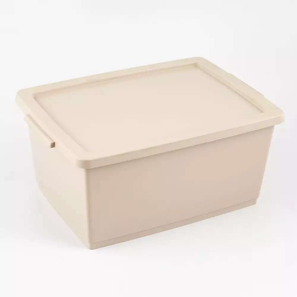 Canasta Ordene My Closet 15X24X33Cm Beige Plastico Or80410