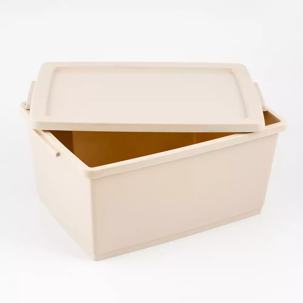 Canasta Ordene My Closet 15X24X33Cm Beige Plastico Or80410