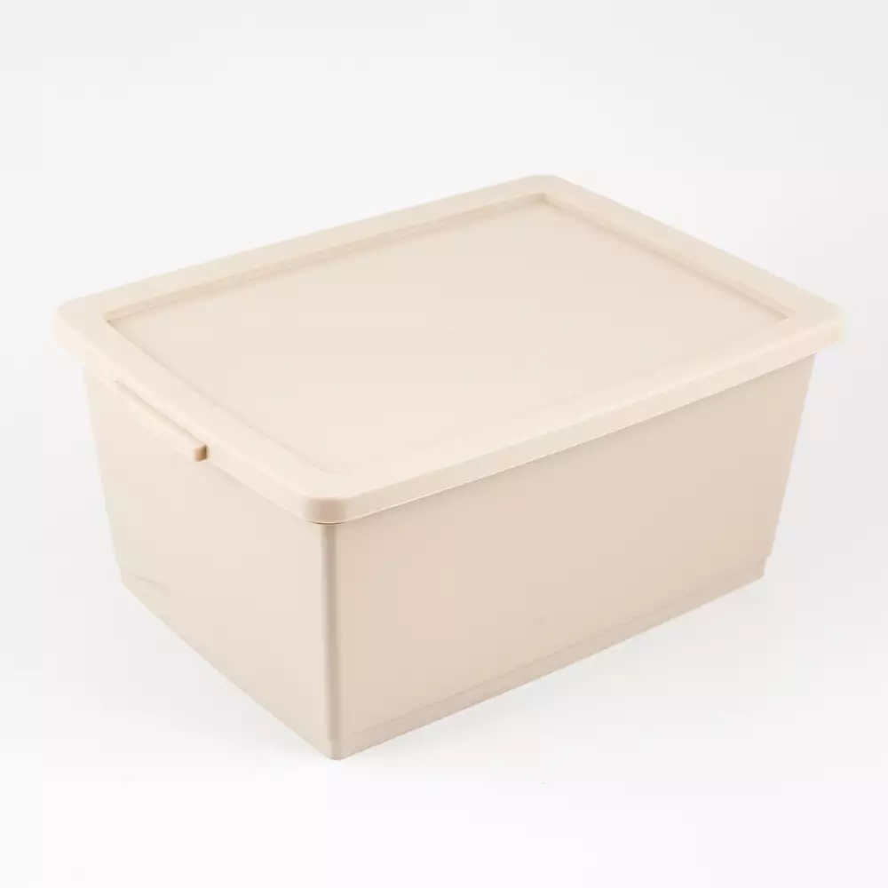 Canasta Ordene My Closet 18X41X29Cm Beige Plastico Or80510                               