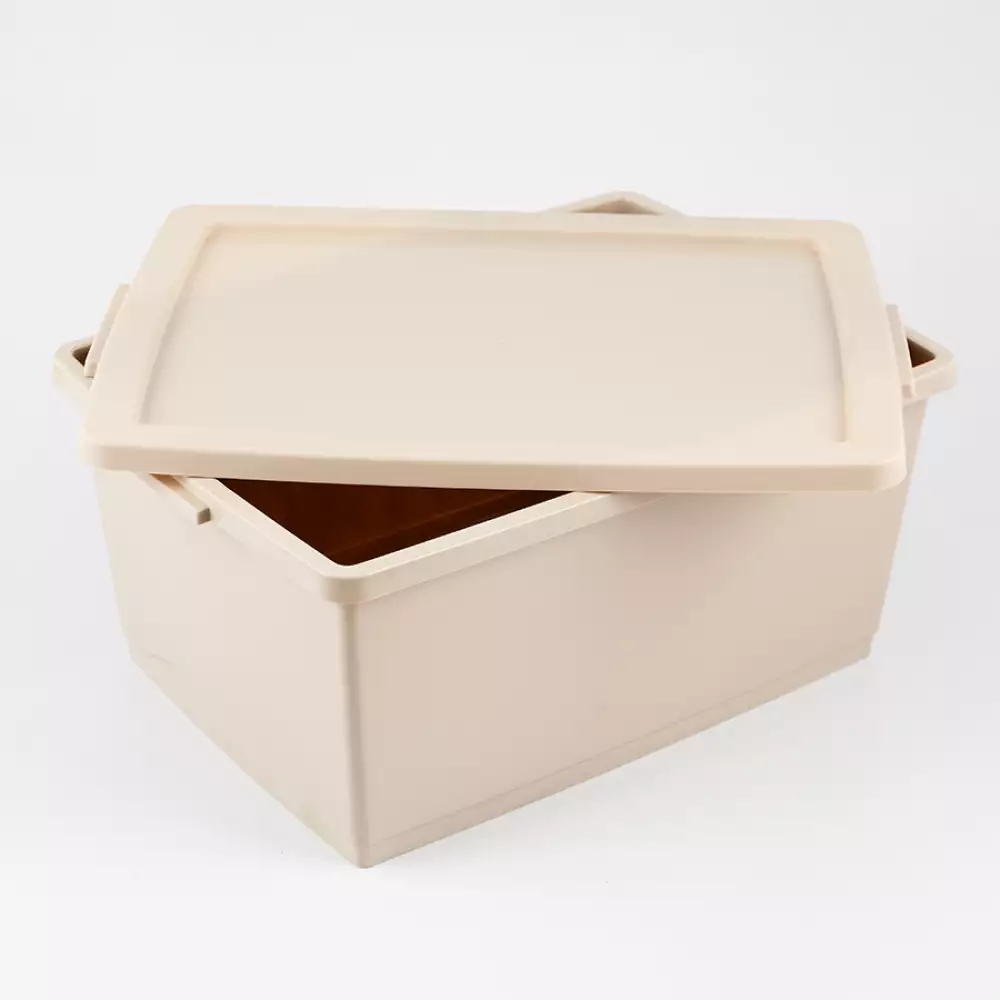 Canasta Ordene My Closet 18X41X29Cm Beige Plastico Or80510                               