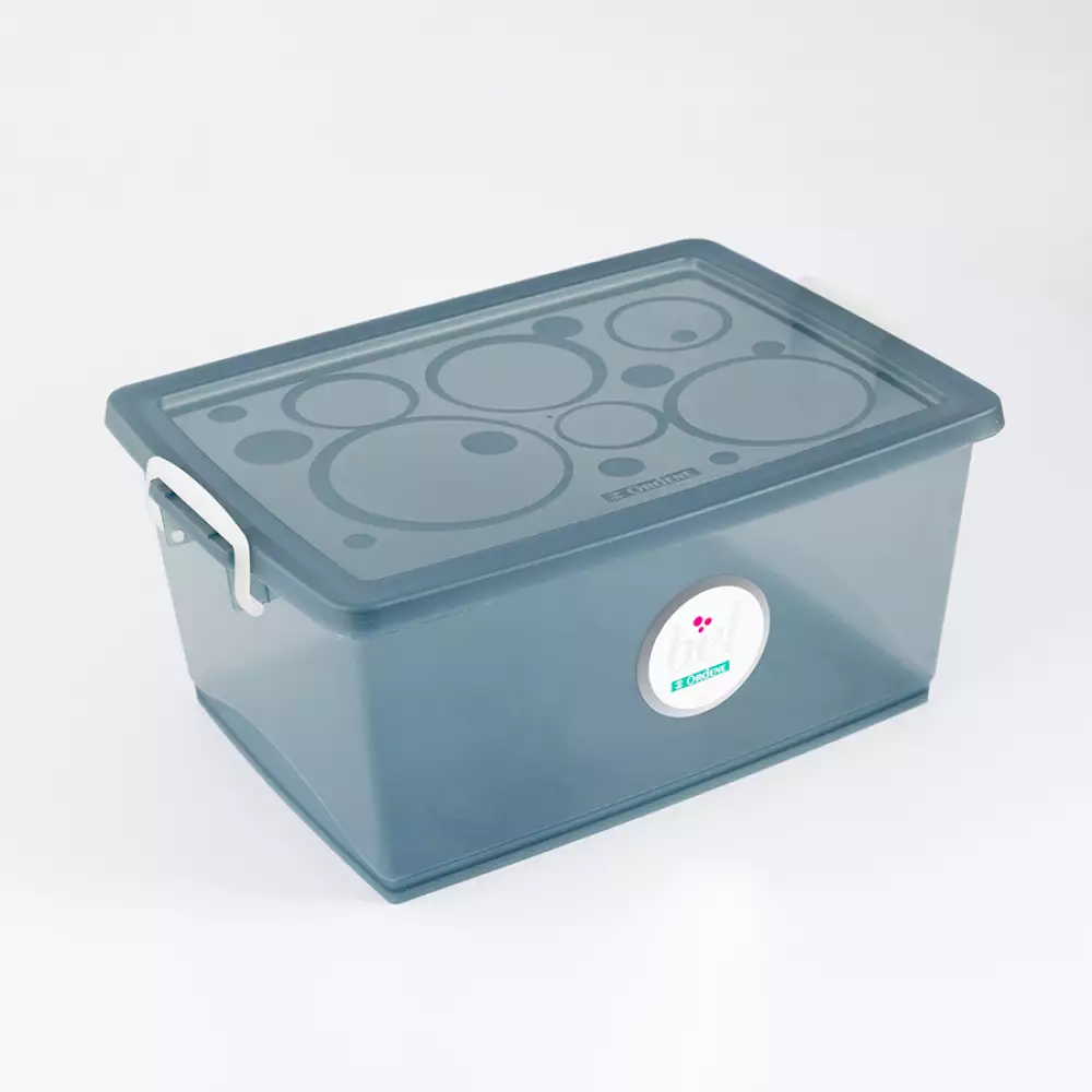 Canasta Ordene My Closet 19X29X40Cm Plastico