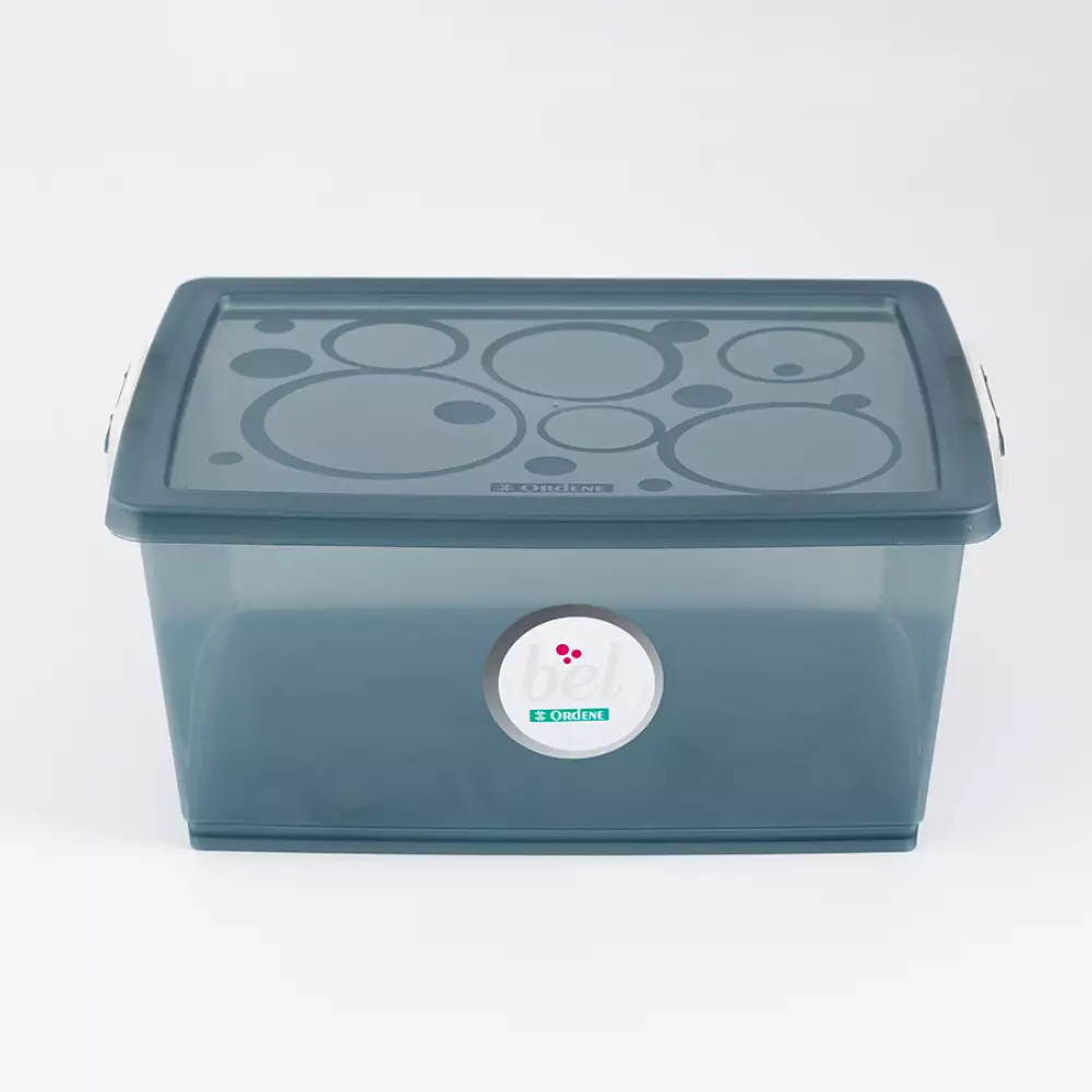 Canasta Ordene My Closet 19X29X40Cm Plastico