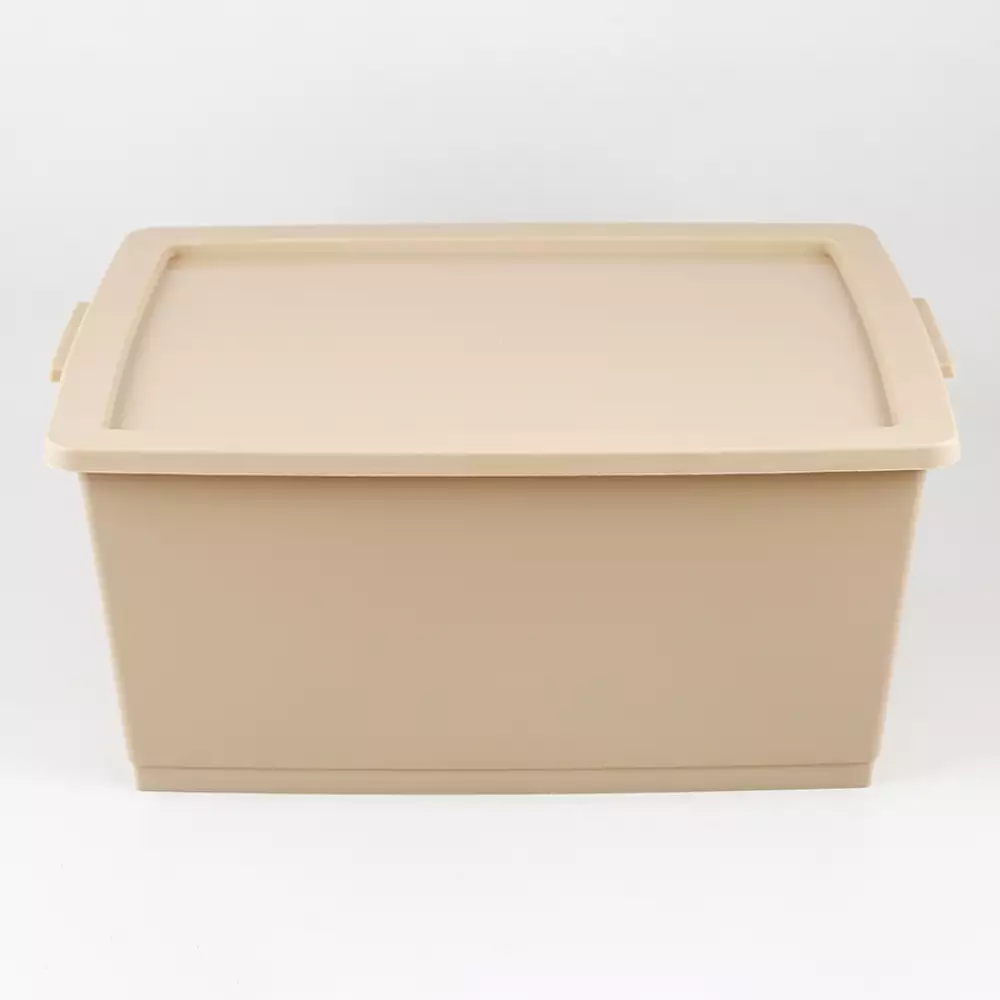 Canasta Ordene My Closet 23X37X53Cm Beige Plastico Or80710