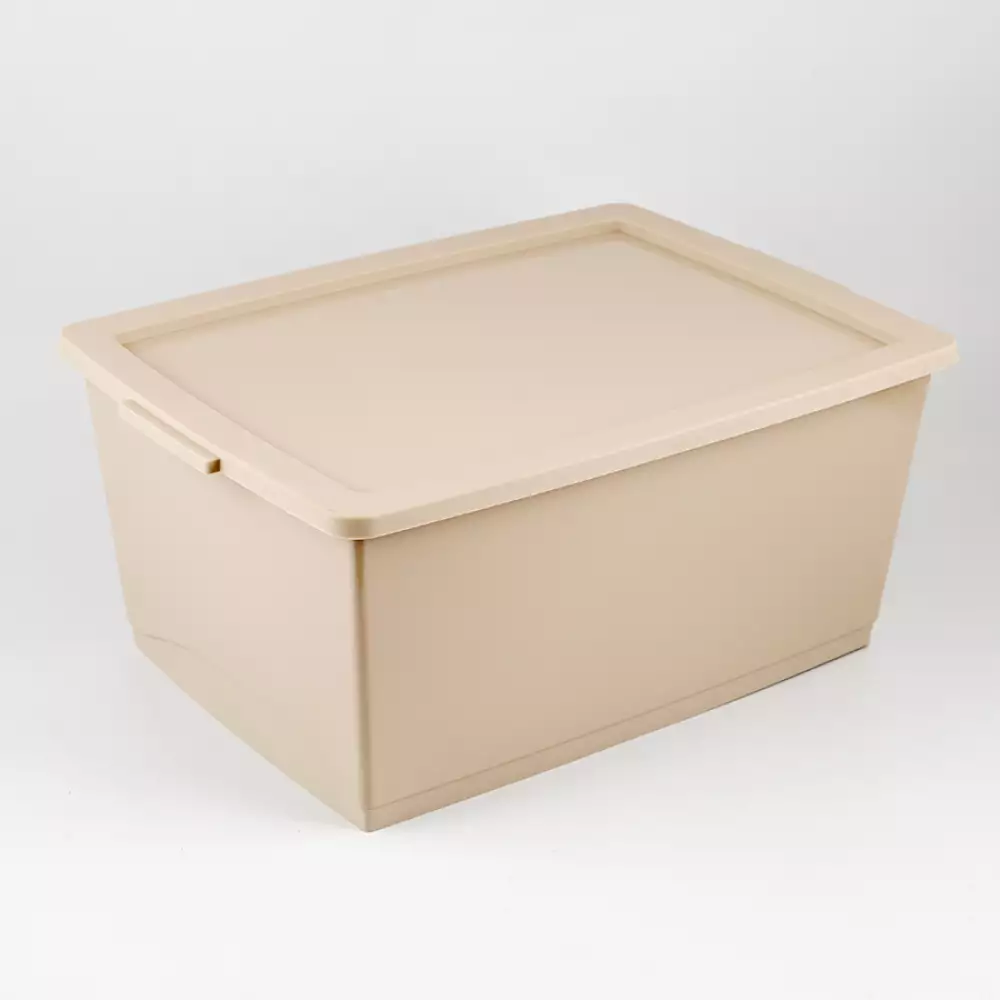 Canasta Ordene My Closet 23X37X53Cm Beige Plastico Or80710