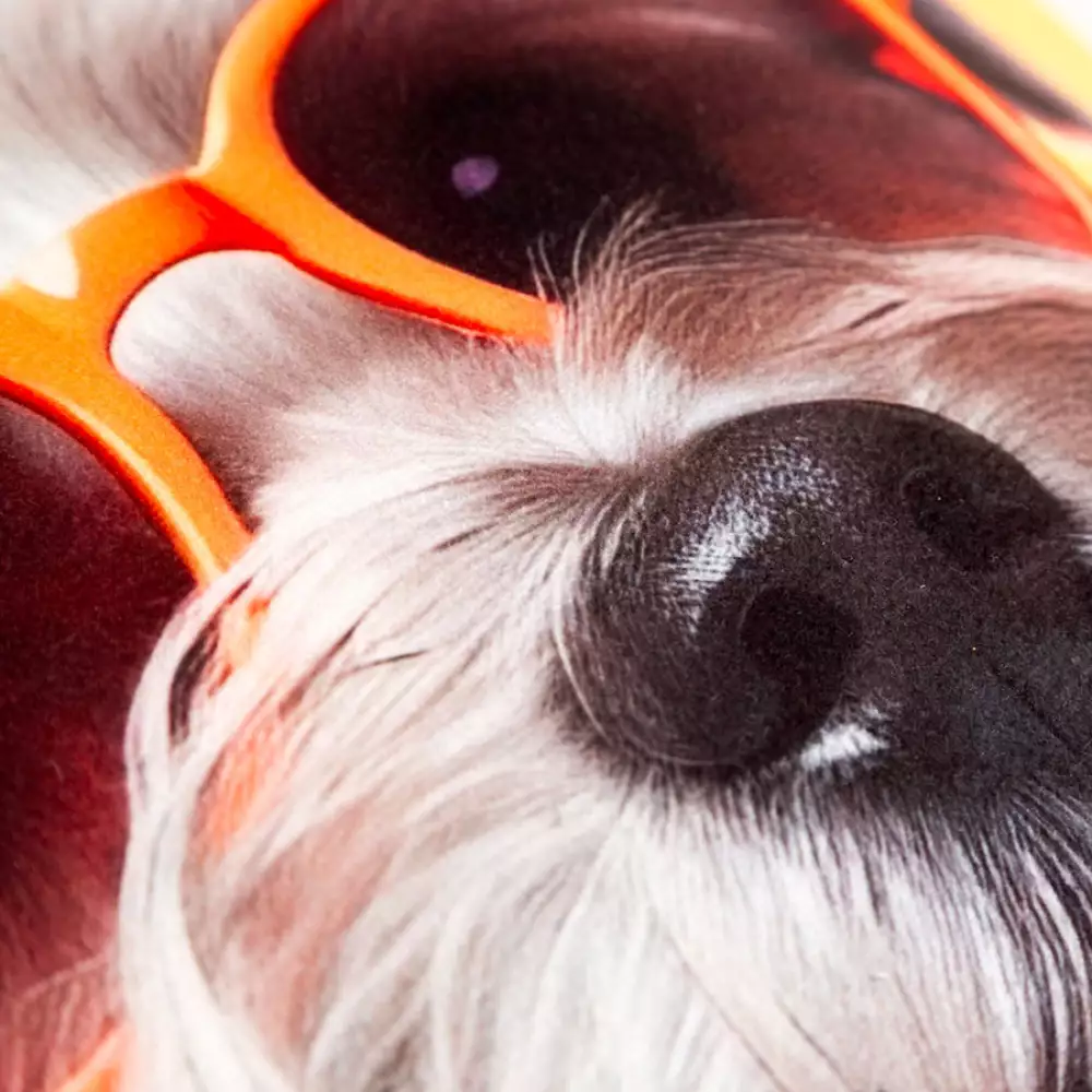 Cojin Expressions Aramis 45X45Cm Poliester