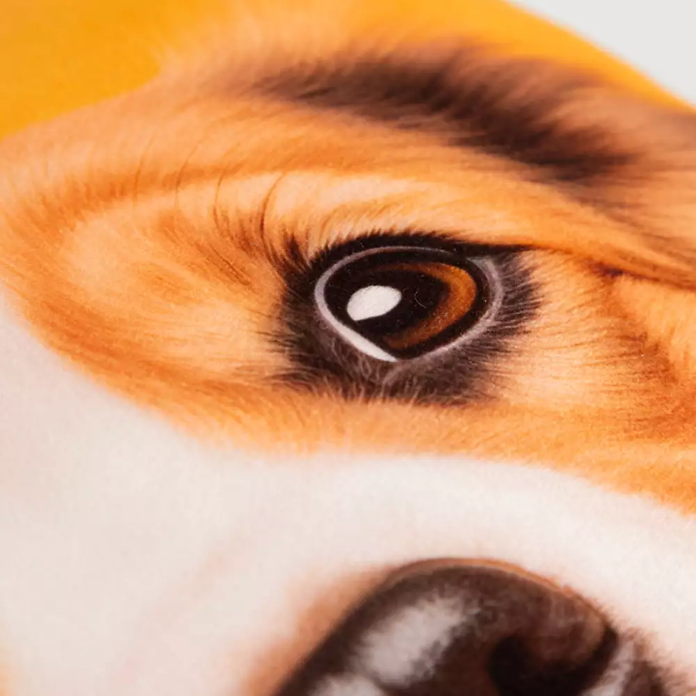 Cojin Expressions Bingo 45X45Cm Poliester