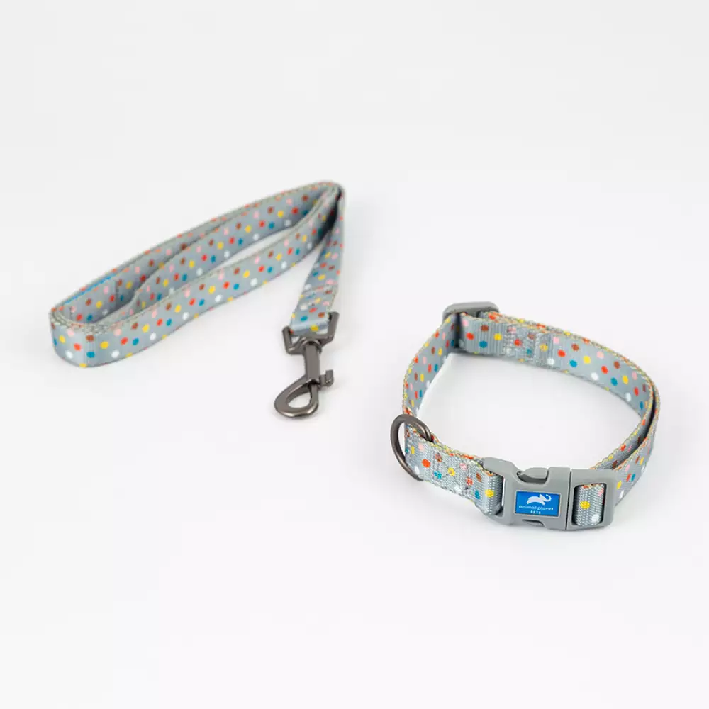 Collar + Correa Animal Planet Surtido L 3/4X14-20 5-522
