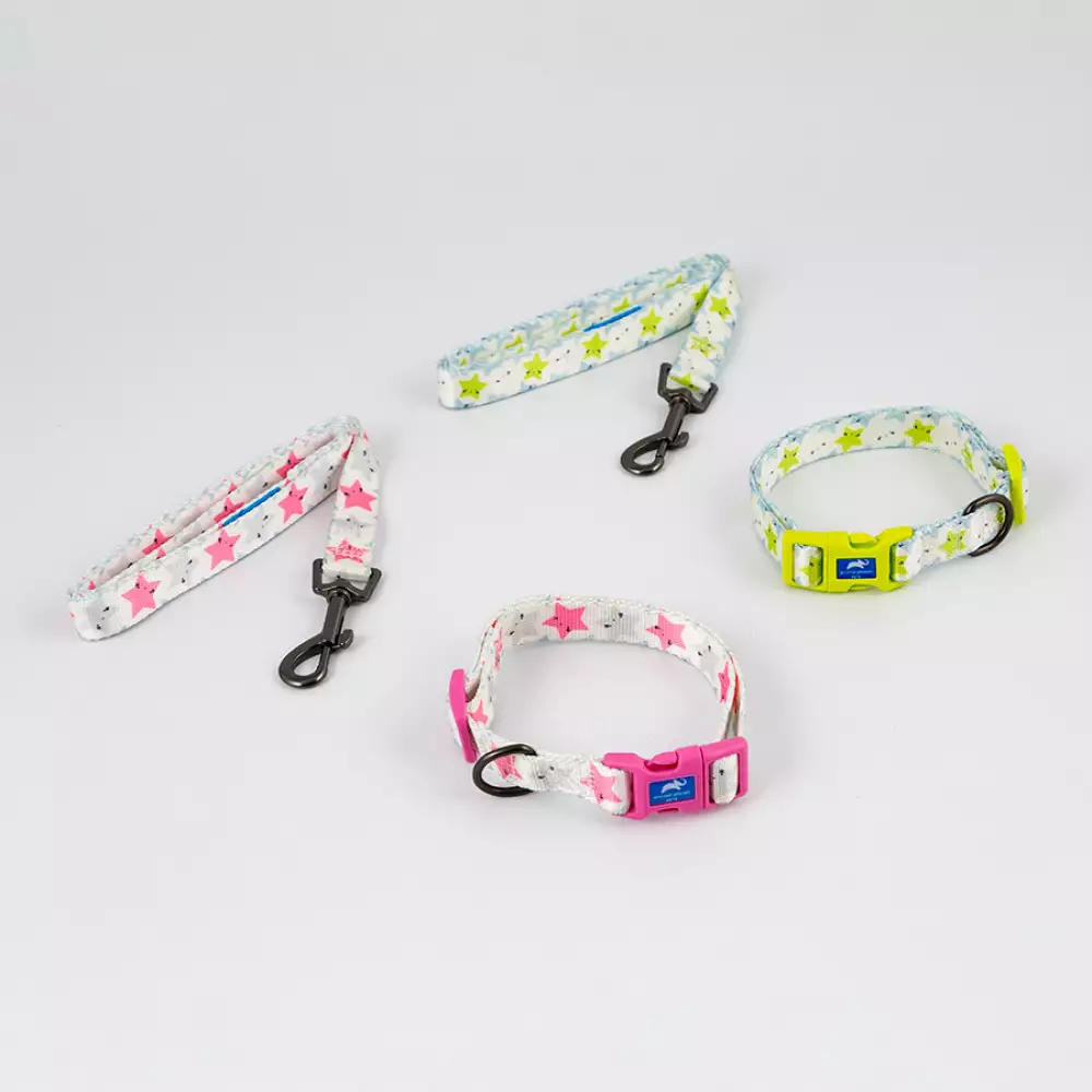 Collar + Correa Animal Planet Surtido L 3/4X14-20 5-548