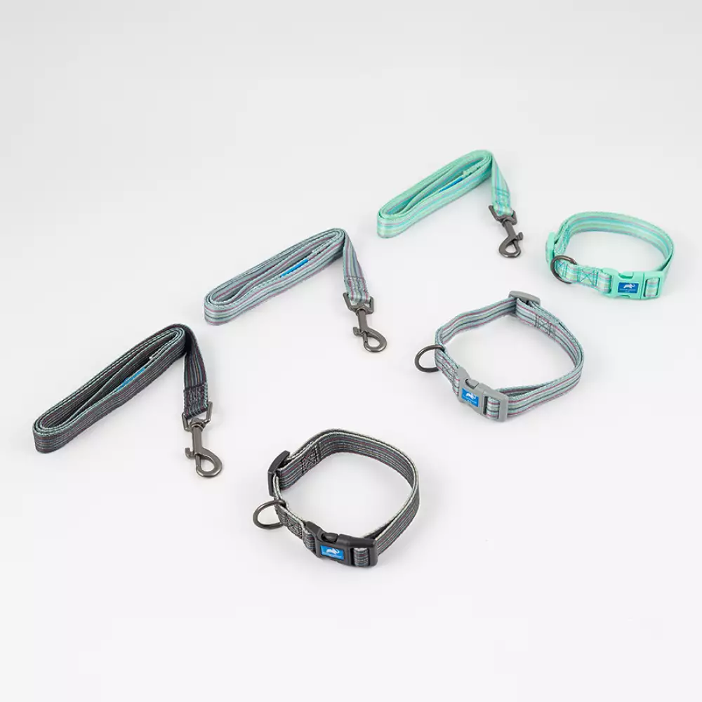 Collar + Correa Animal Planet Surtido L 3/4X14-20 5-558