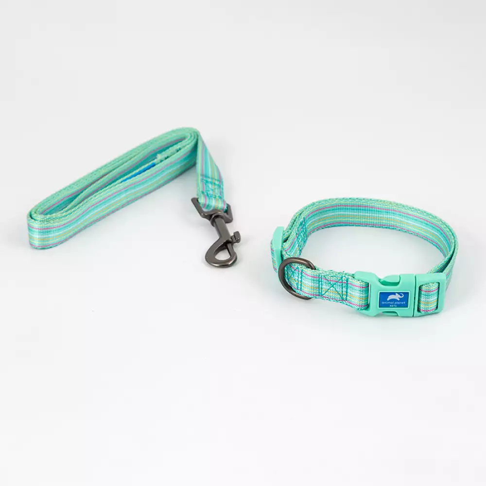 Collar + Correa Animal Planet Surtido L 3/4X14-20 5-558