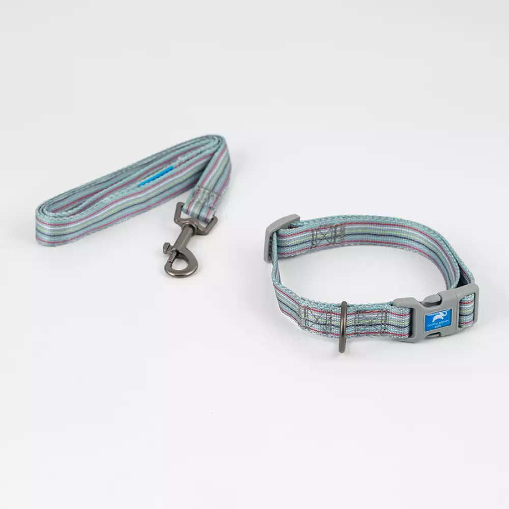 Collar + Correa Animal Planet Surtido L 3/4X14-20 5-558