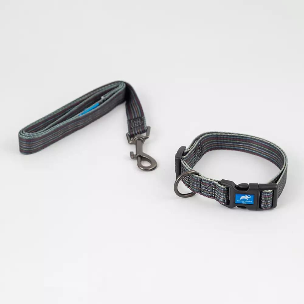Collar + Correa Animal Planet Surtido L 3/4X14-20 5-558