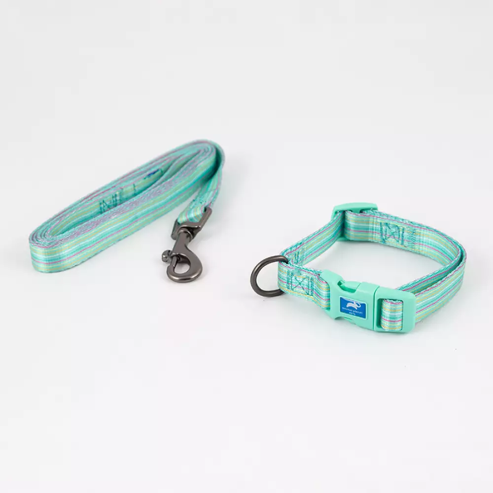Collar + Correa Animal Planet Surtido M 5/8X10-14 5-557