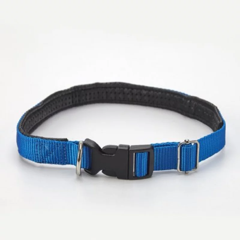 Collar Perro Clark 40940 L 19Mm Azul Rey