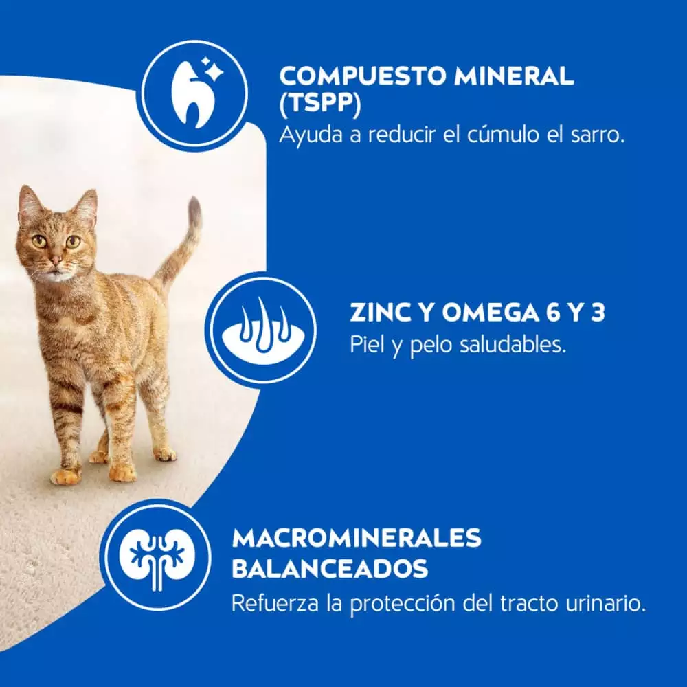 Concentrado Gato Cat Chow 12291574 1.5 Kg Carne Adulto