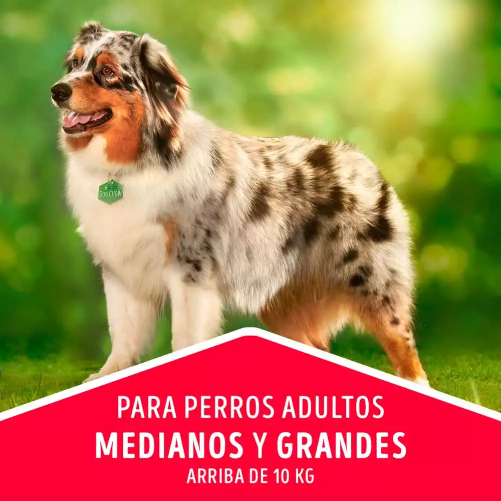 Concentrado Perro Dog Chow 4271 8 Kg Carne Mediana