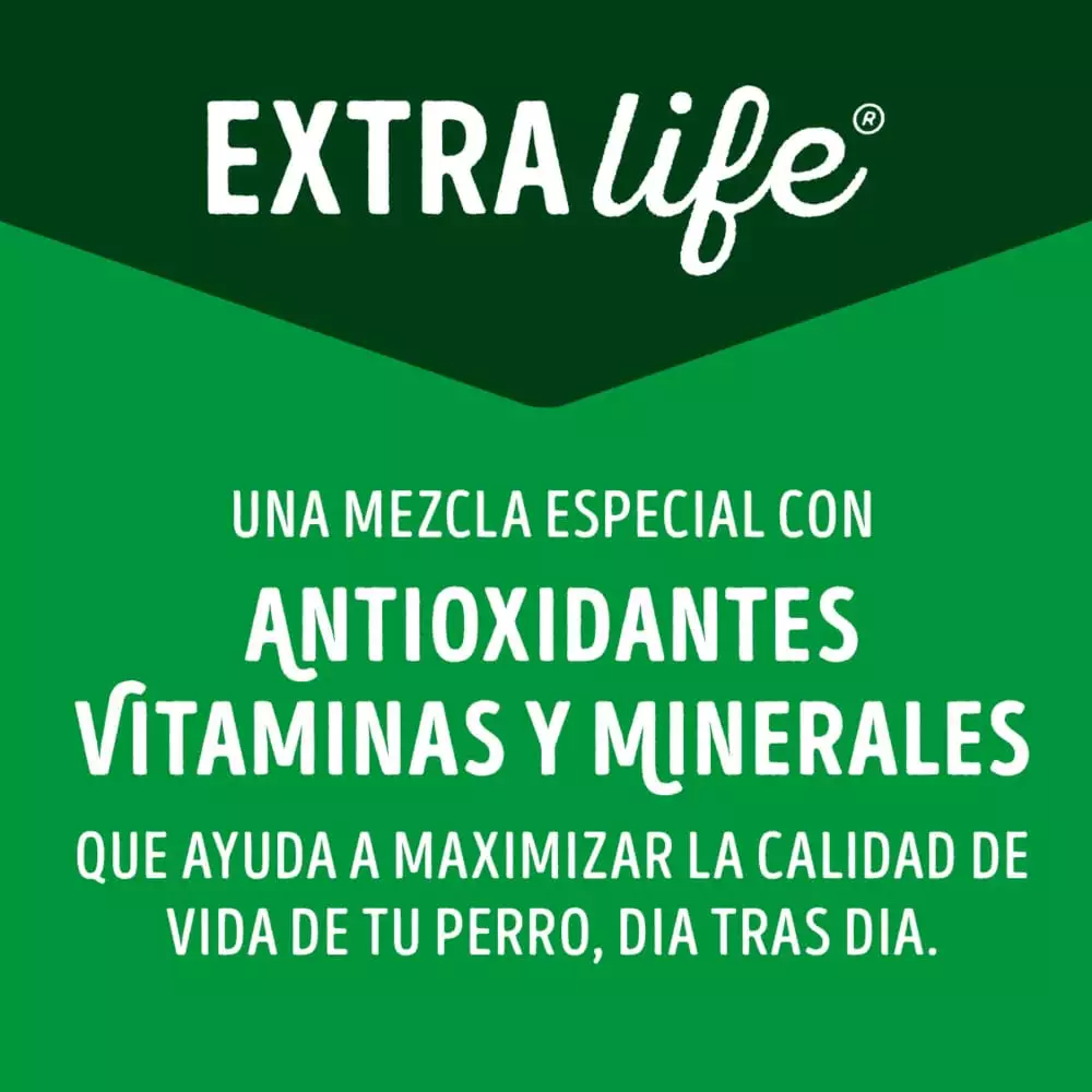 Concentrado Perro Dog Chow 9610 8 Kg Carne Pequeño.