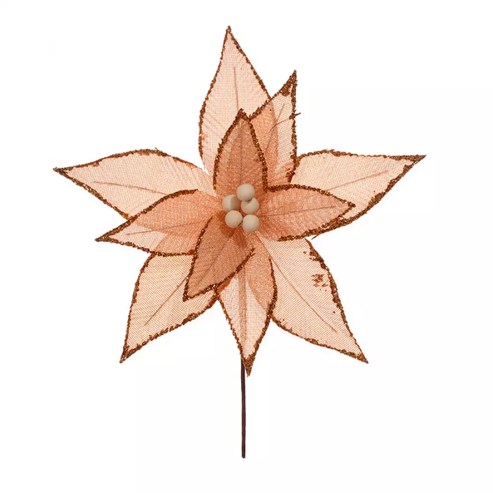 Flor Miro Christmas 1X30Cm Champagne