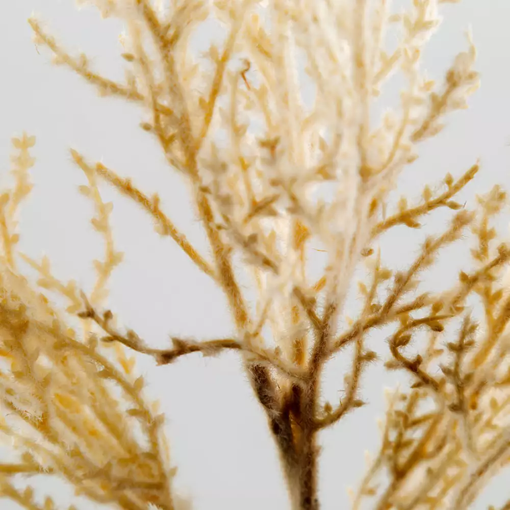 Follaje decorativo concepts boho gris 100% plastico 420-594293