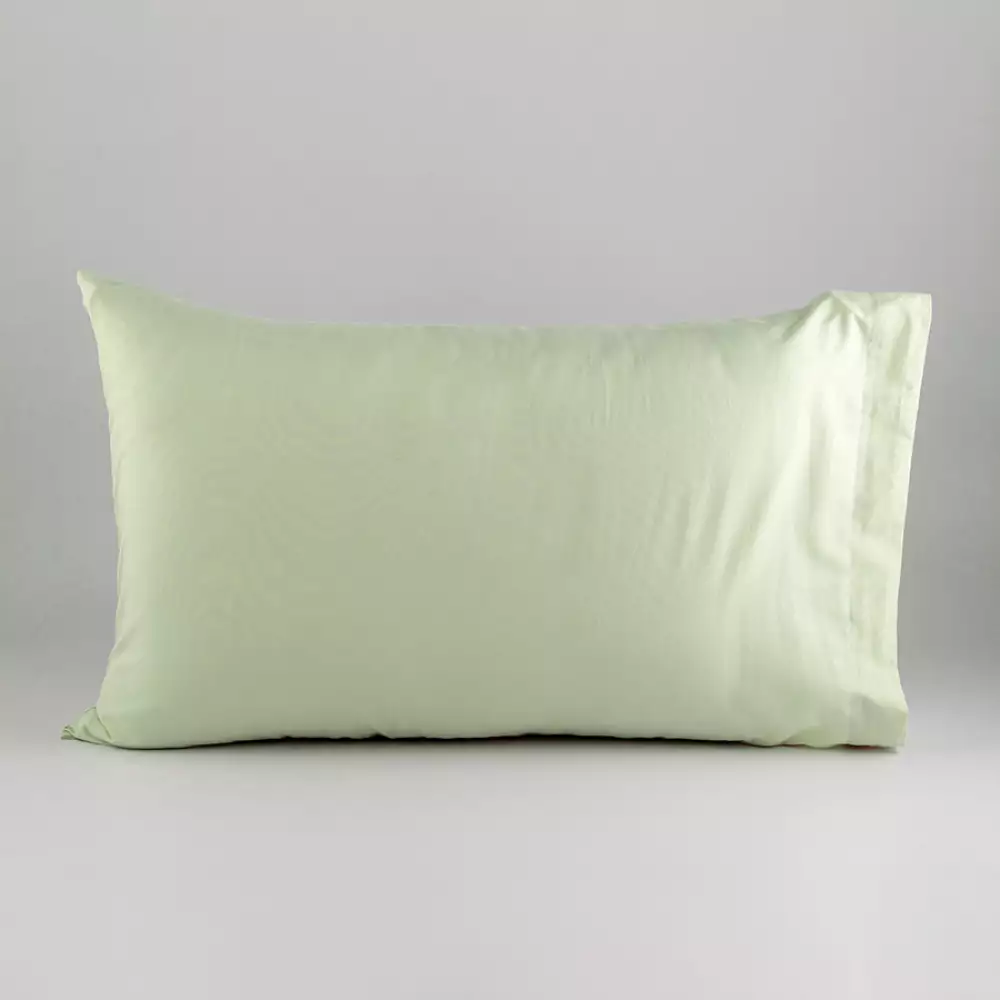 Funda De Almohada Expressions Setx2 74x50 cm Microfibra Menta