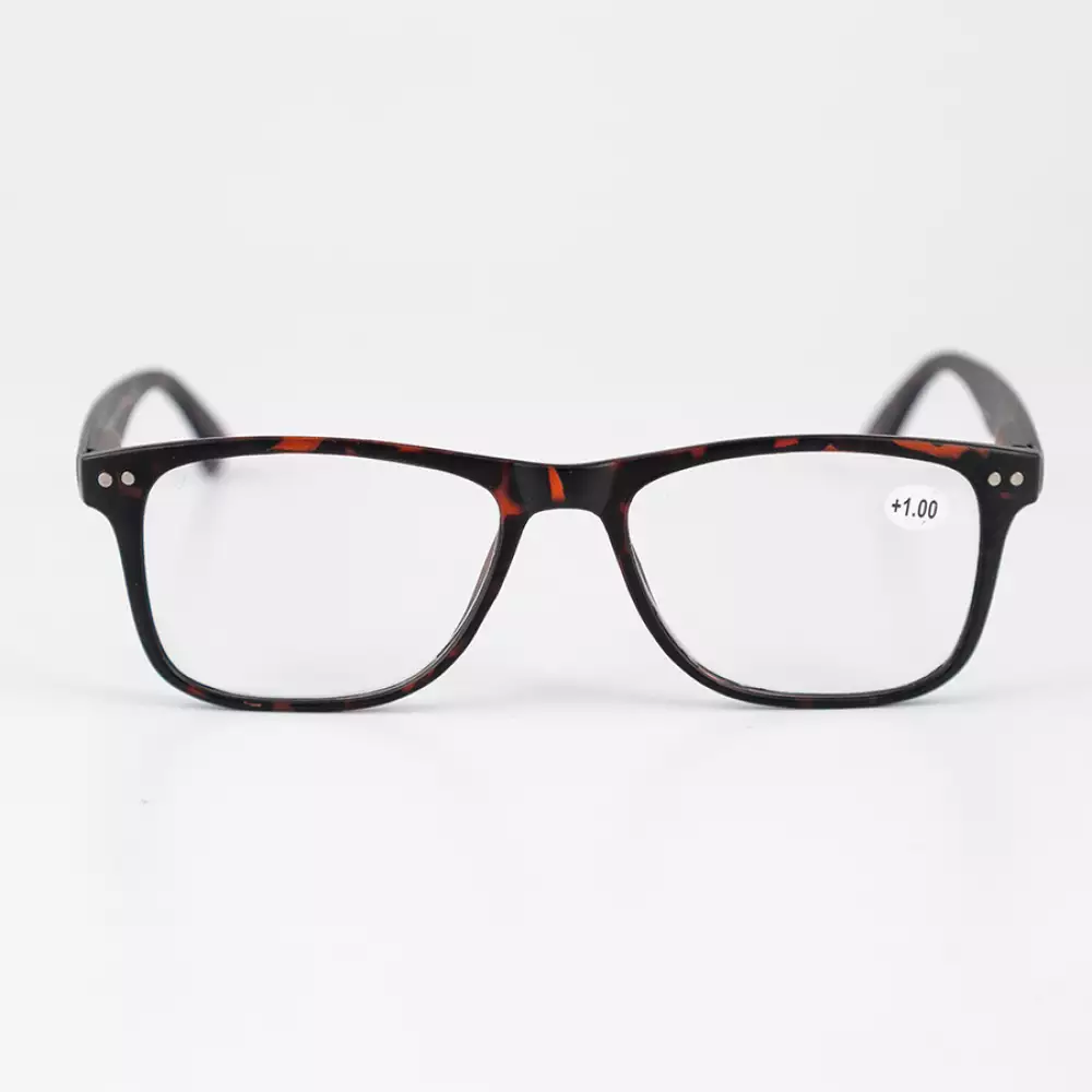 Gafas Zoom Basic 1 00 Policarbonato