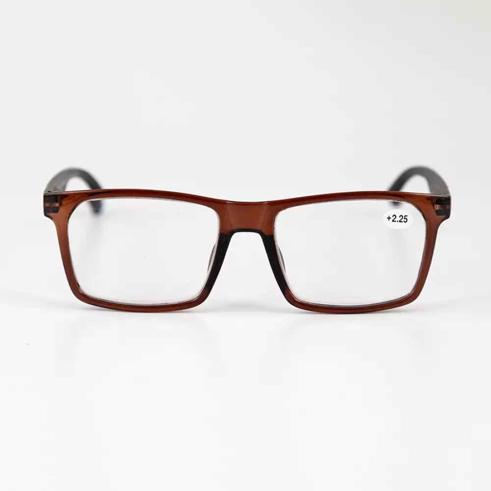 Gafas Zoom Basic 2 25 Policarbonato