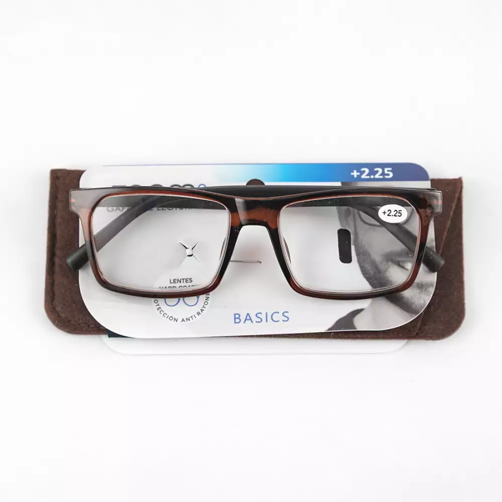 Gafas Zoom Basic 2 25 Policarbonato