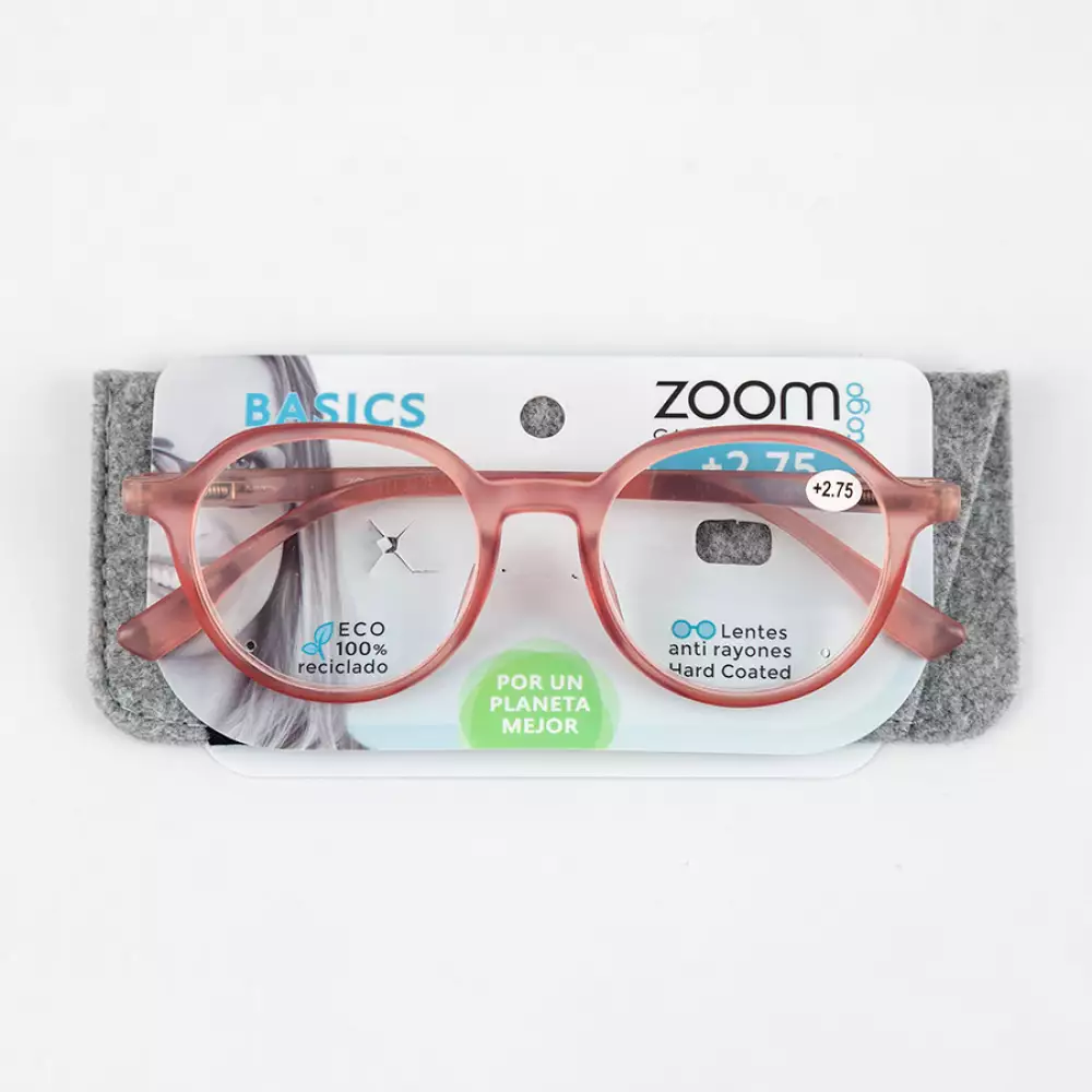 Gafas Zoom Basic F 2 75 Policarbonato