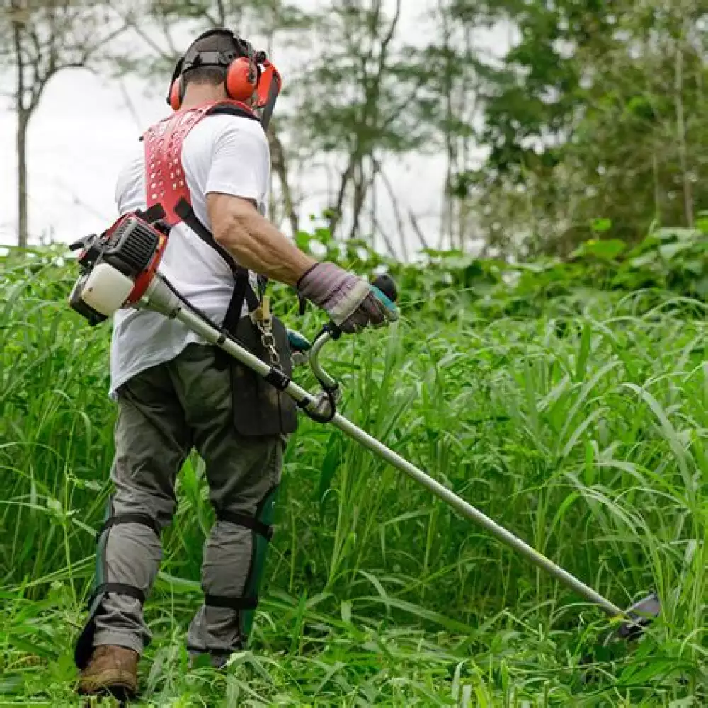Guadaña Shindaiwa B451 Más Accesorios