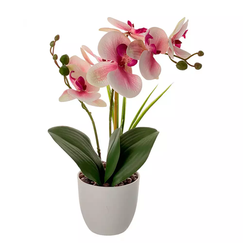 Planta artificial concepts Rose Blush suculent 11,2x18,2x10cm dorado ceramica