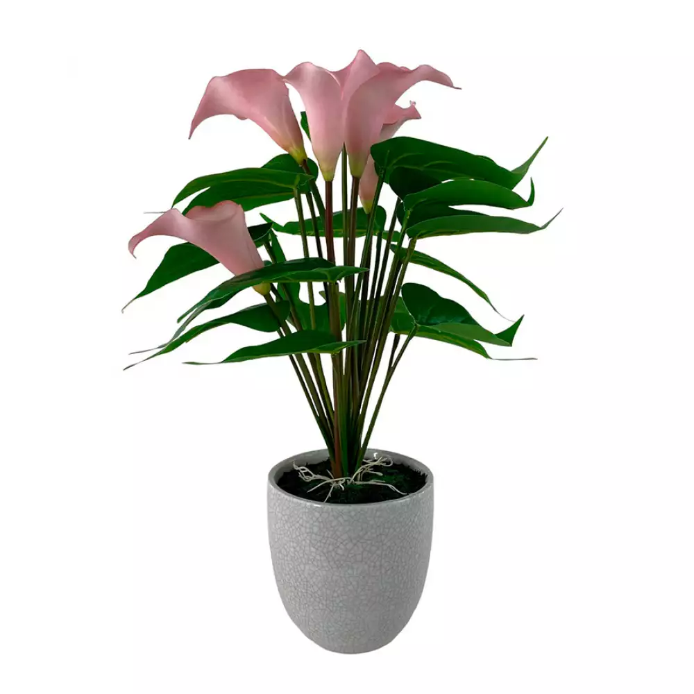 Planta artificial concepts Rose Blush suculent 11,2x18,2x10cm dorado ceramica