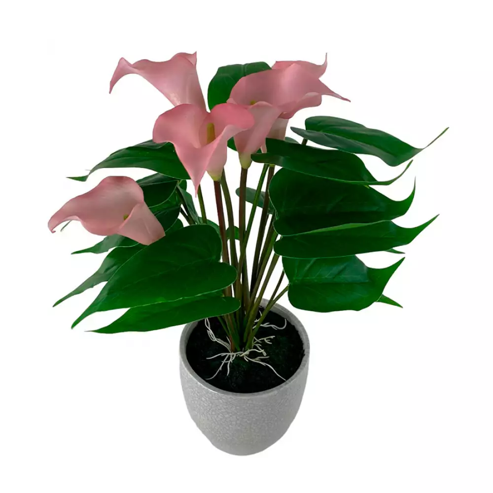 Planta artificial concepts Rose Blush suculent 11,2x18,2x10cm dorado ceramica