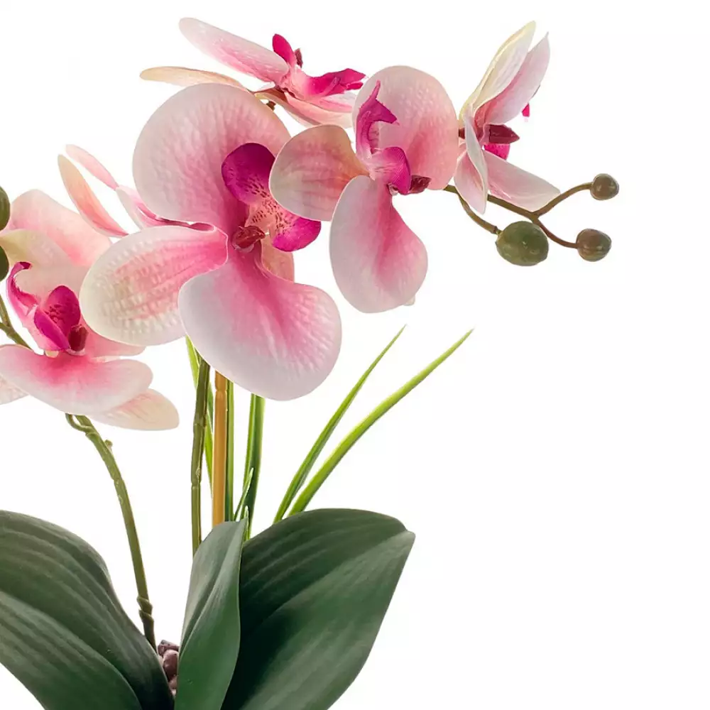 Planta artificial concepts Rose Blush suculent 11,2x18,2x10cm dorado ceramica