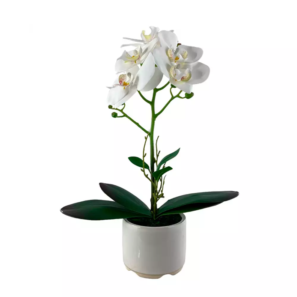 Planta artificial concepts Rose Blush suculent 13,2x20,8x11,5cm do