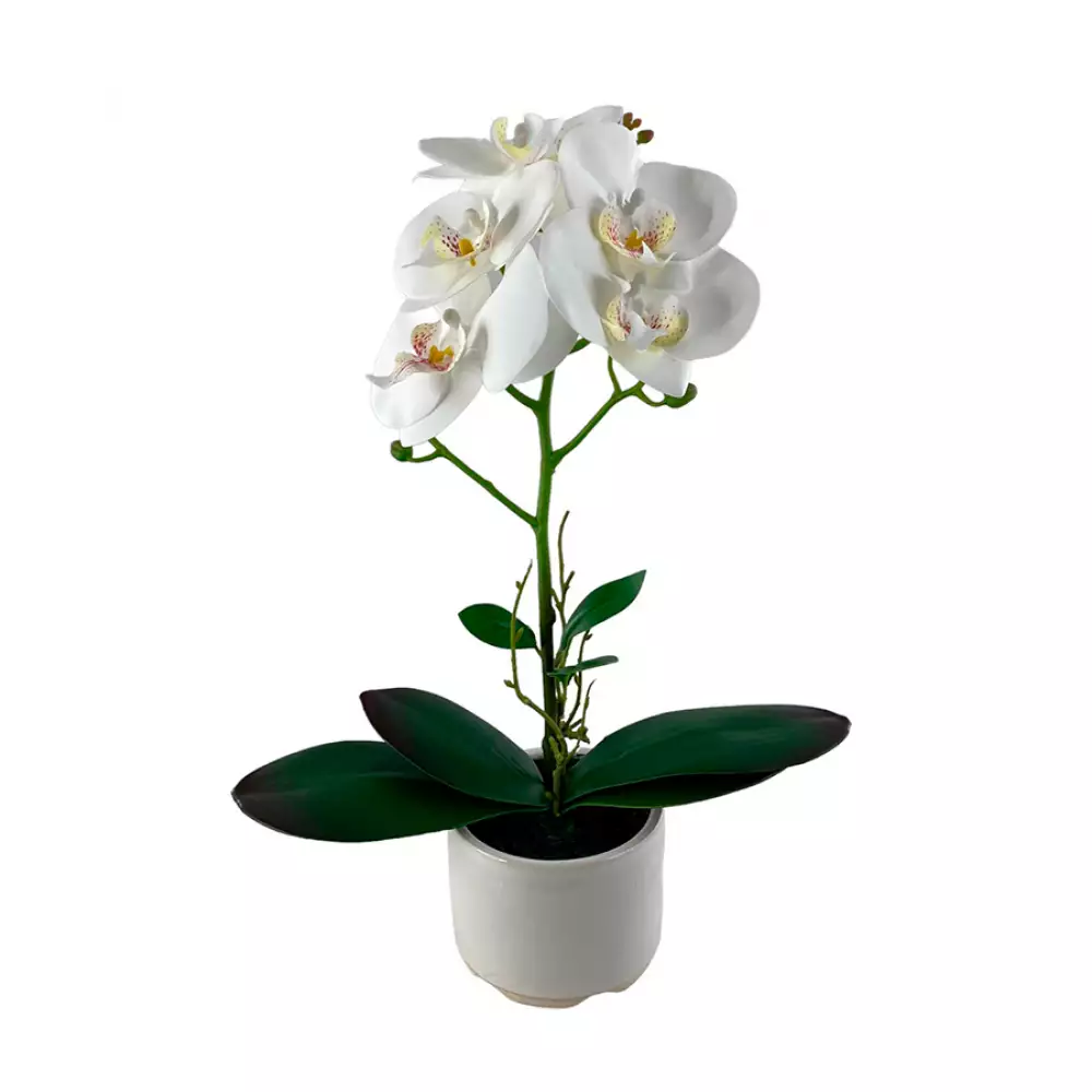 Planta artificial concepts Rose Blush suculent 13,2x20,8x11,5cm do