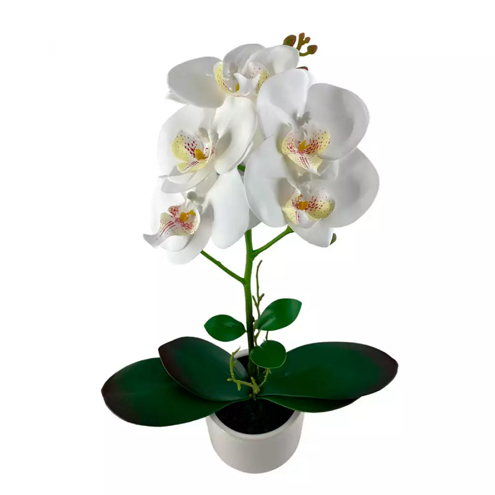 Planta artificial concepts Rose Blush suculent 13,2x20,8x11,5cm do