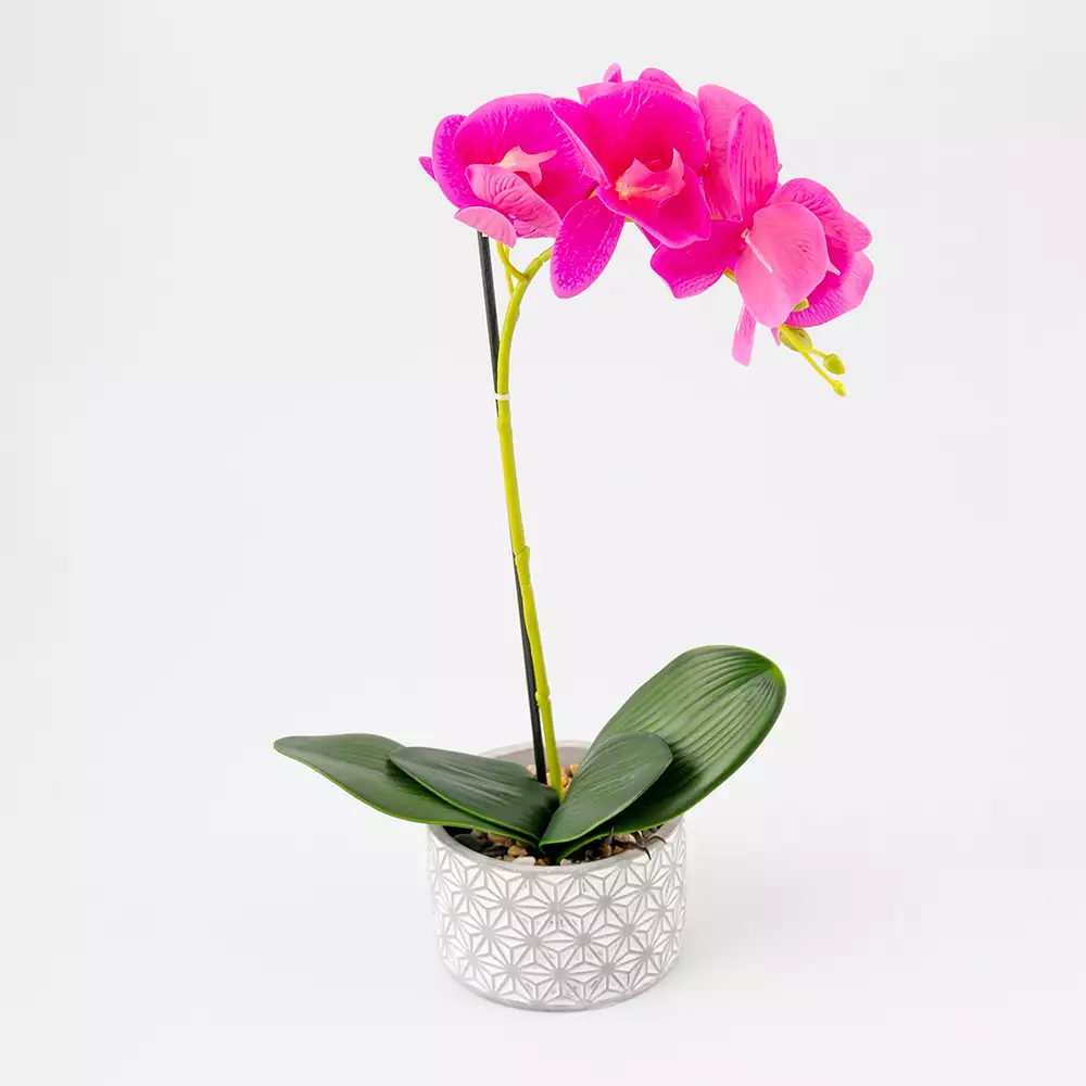 Planta Artificial Expressions 15X45Cm Lila Poli