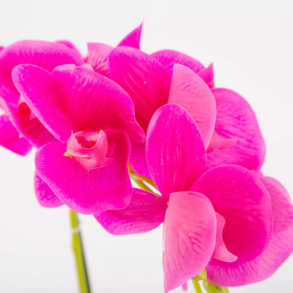 Planta Artificial Expressions 15X45Cm Lila Poli