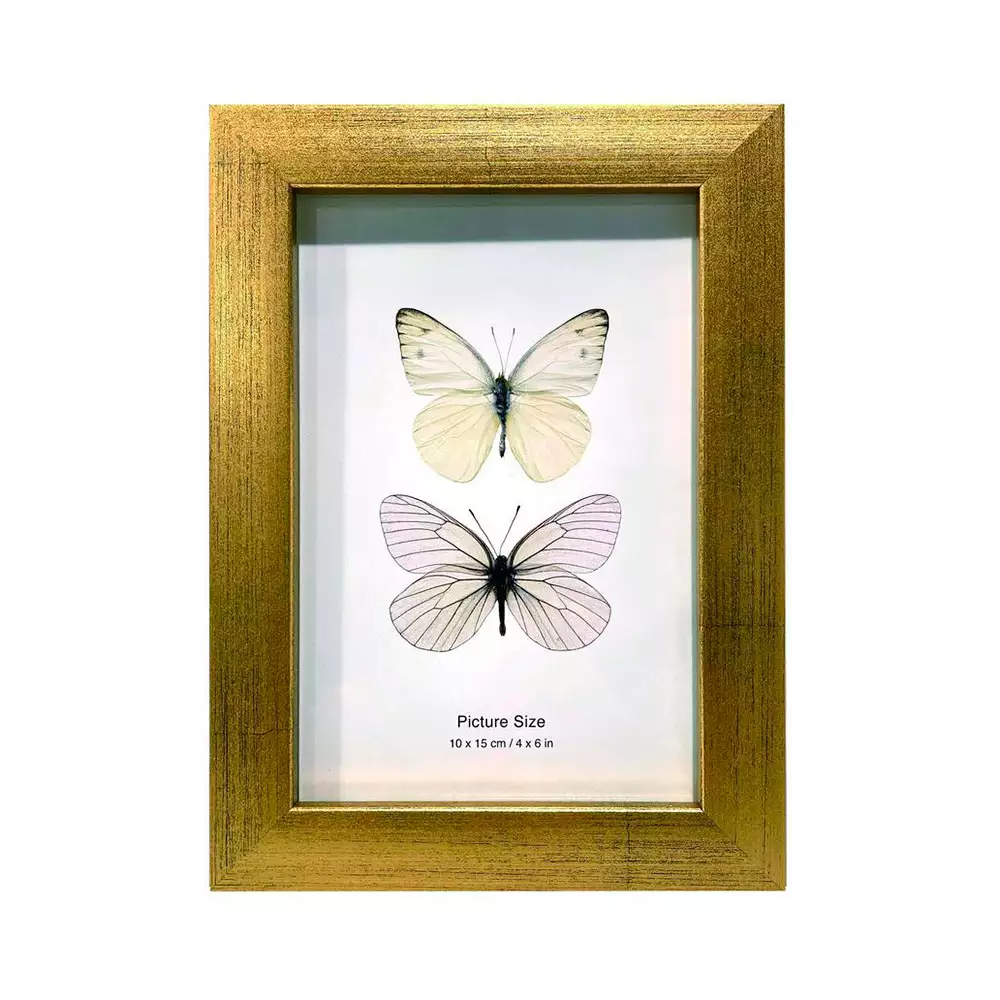 Portaretrato 13.2X18 Concepts Luxor 18X1Cm Dorado Mdf 530-87193