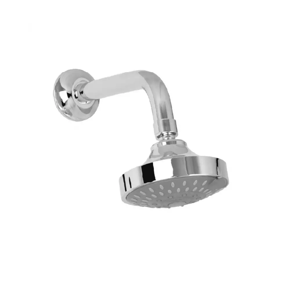 Regadera Helvetia Gricol 5 Funciones 10X10X22Cm Plateado Bl-243