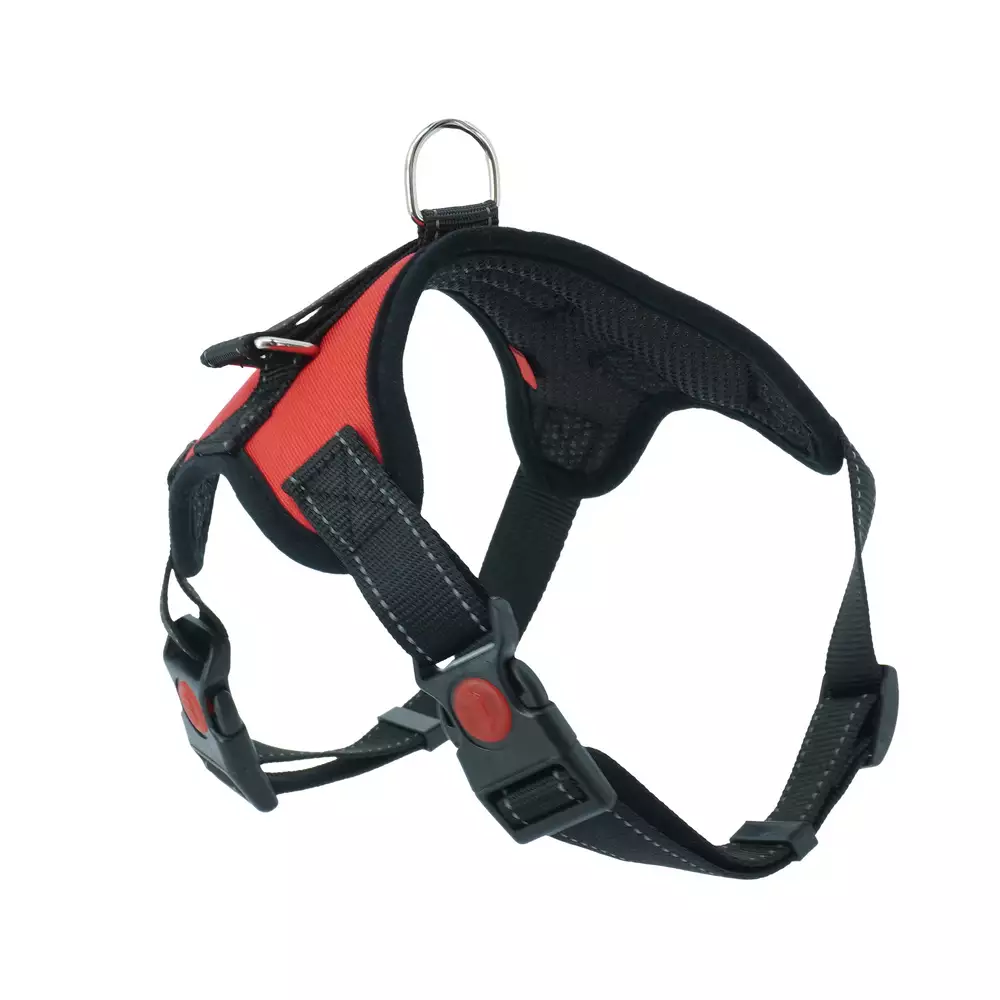 Trailla Trenzada Calabaza Pets Xl Surtido Tela Pa11 Talla X