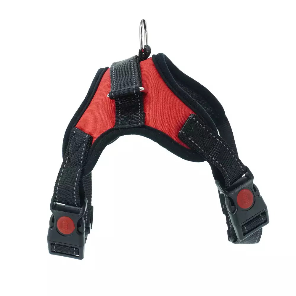 Trailla Trenzada Calabaza Pets Xl Surtido Tela Pa11 Talla X