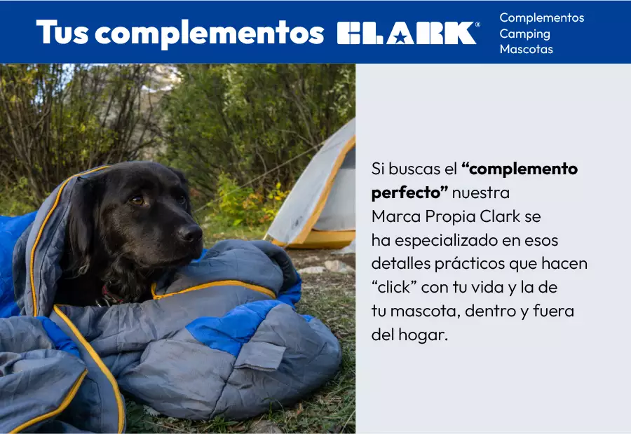 Curiosidades mascotas